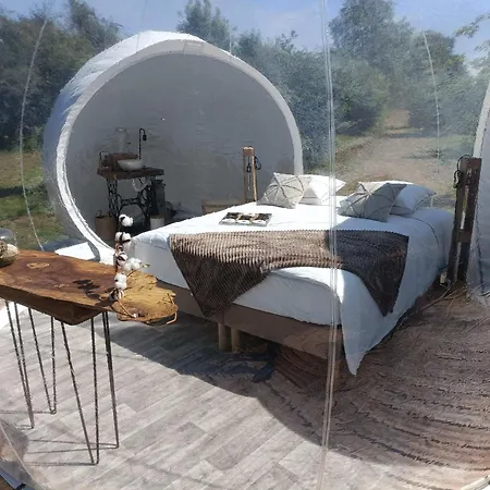 Pre En Bulles * 勒维雅昂